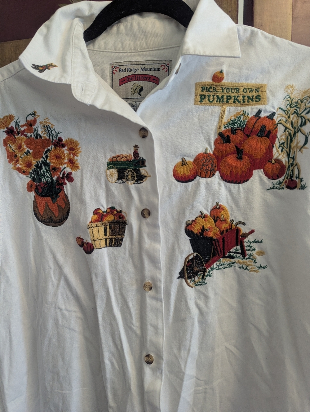 Vintage Red Ridge Cottagecore Shirt Women's M Embroidered Pumpkins Leaves Fall